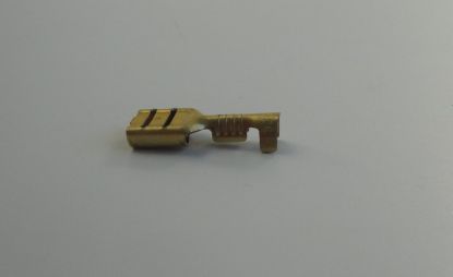 PictureAltAttribute - 50325-jpg